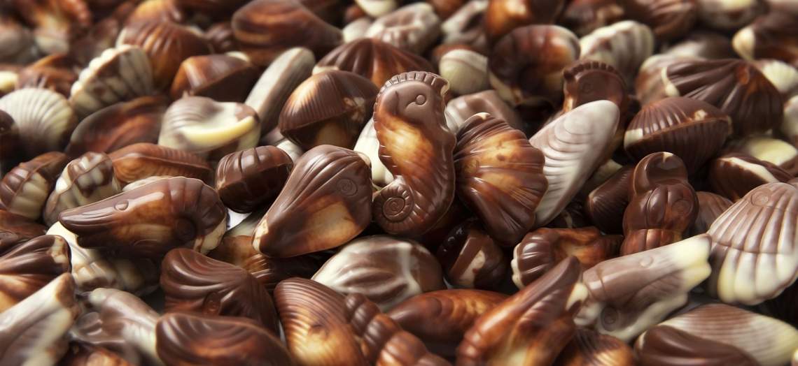 Belgian Seashells